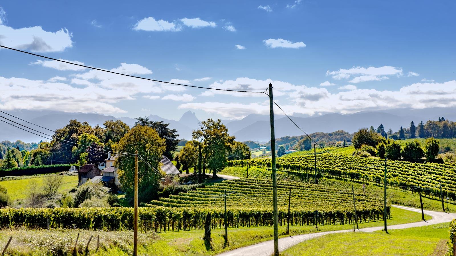 Discover the Best Places to Visit in Melbourne with VRide